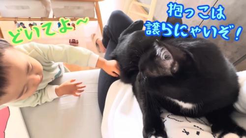 テロップ（右）「抱っこは譲らにゃいぞ！」