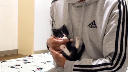 抱っこ