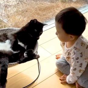 赤ちゃんと暮らす３匹の保護猫→まるで弟のように接していて…愛情にあふれた『日常の光景』に「みんな仲良し」「幸せ空間が素敵」と反響
