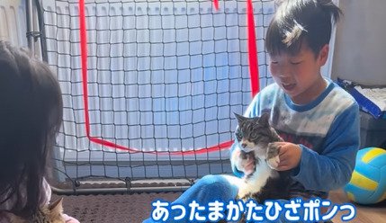 男の子に抱っこされる猫