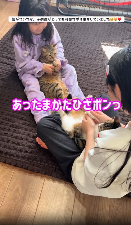 拍手する2匹の猫