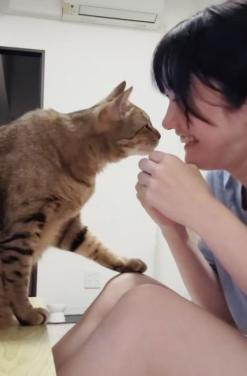 泣き真似をする飼い主さんを慰めるキジトラ猫