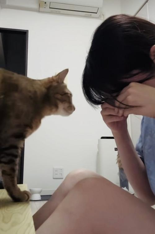泣き真似をする飼い主さんのもとに駆けつけたキジトラ猫