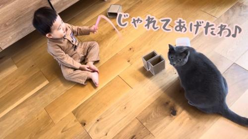 テロップ「じゃれてあげたわ」