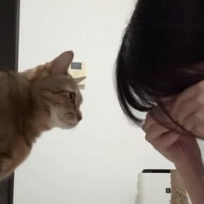 愛猫の前で『泣き真似』をしてみたら…思わず感動の『尊すぎる展開』が31万再生「なんて優しい子」「イケメンすぎる」と話題に