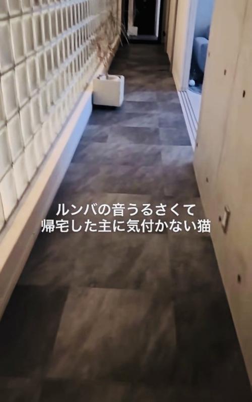 誰もいない廊下