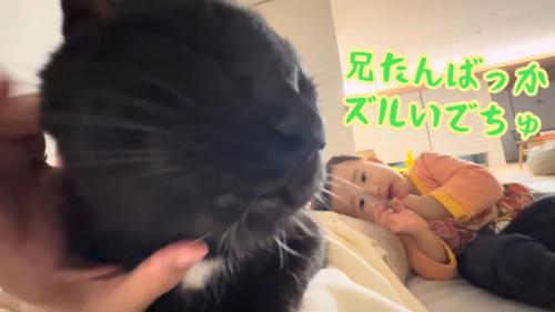 テロップ「兄たんばっか～」