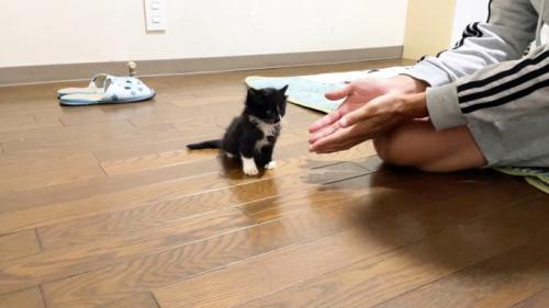手を広げる投稿主さん