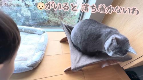 テロップ「赤ちゃん（絵文字）がいると～」