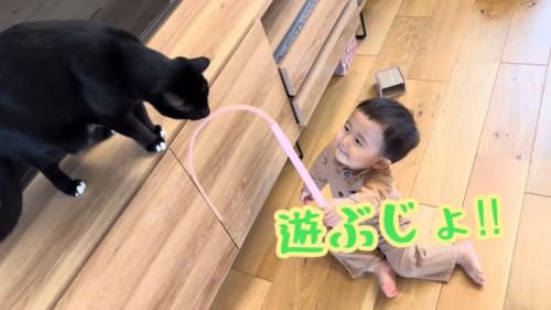 テロップ「遊ぶじょ!!」