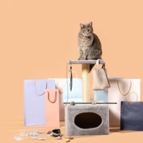 猫の飼い主が『買ってから後悔』しやすいアイテム5選　失敗しがちな原因や選び方のコツ