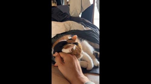 手を枕に