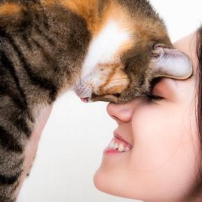 『たくさん愛情を注がれた猫』だけがみせる仕草や行動5選　あなたの愛猫はどう？上手な応え方まで解説
