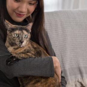「よたよた歩き」の猫は、学生たちの人気者！　ふれあいながら学びと理解を深める場にも　米国