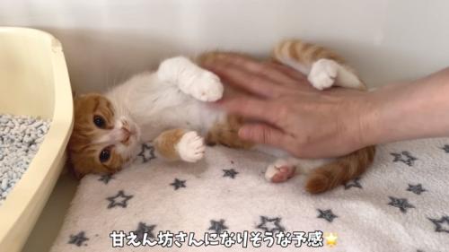 じゃがバタくん