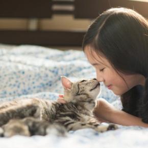 『愛猫に助けてもらった』と実感する瞬間4選　猫の存在が心の支えになるのはどんなとき？