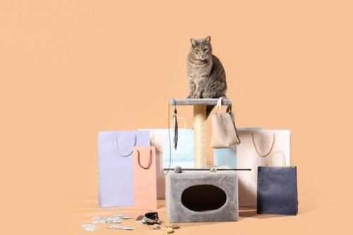 紙袋に囲まれる猫