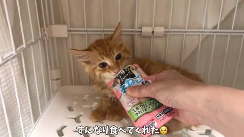 オヤツをもらうからあげくん