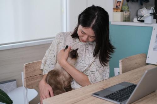 猫を抱いて話しかける女性