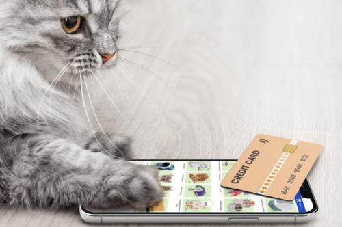 スマホで買い物する猫