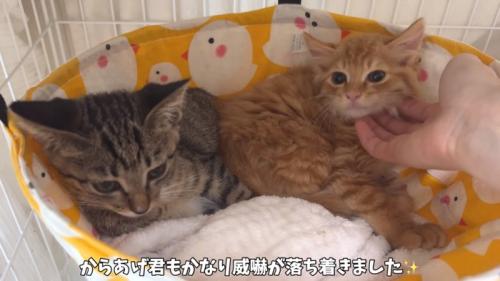 からあげくん