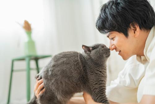 猫と男性