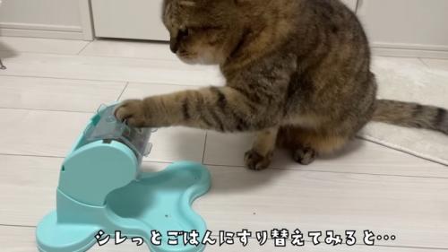 シレッと