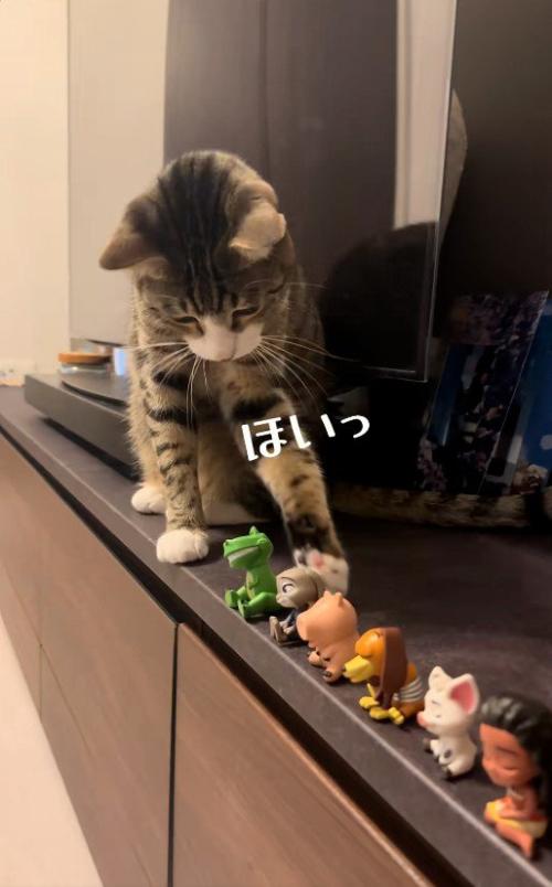フィギュアを前足で落としている猫