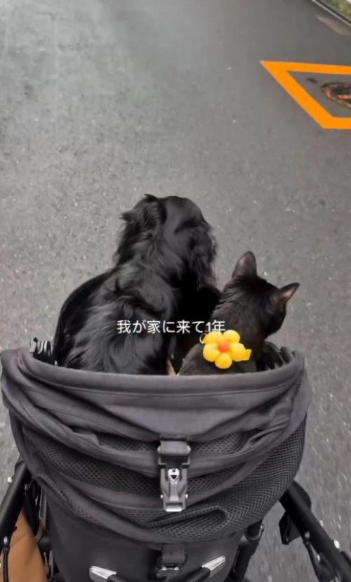 家族と過ごす様子