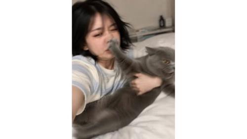 抱かれている猫