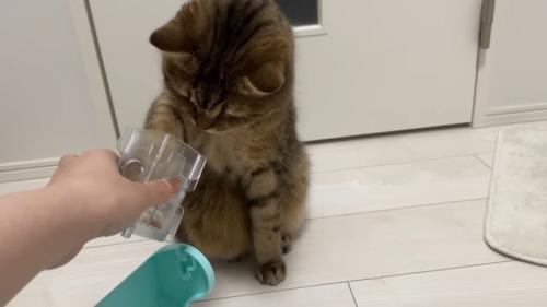 前足を突っ込んで