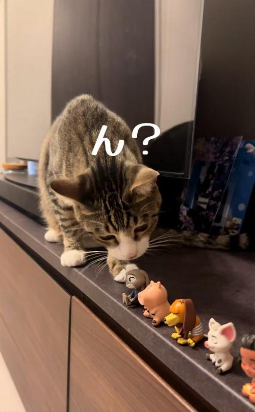 フィギュアを前足でつついている猫