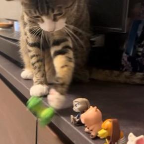 いつもフィギュアを落としていく猫→テープを貼って『対策』してみたら…可愛すぎる反応が15万再生「しっぽに笑った」「物わかり良すぎ」