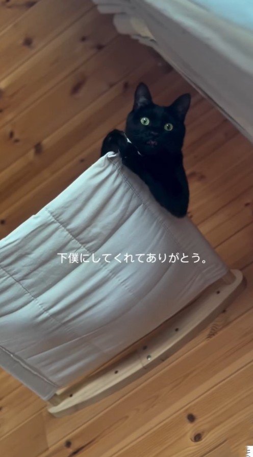 現在のシュリーくん
