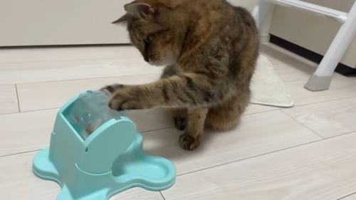 回す姿(斜め前から)