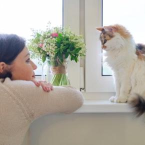 猫を『ニックネーム』で呼んでも問題ない？　愛称を使うときに気をつけるべきポイント3つ