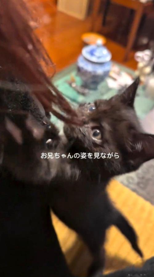 目が開いてきた頃