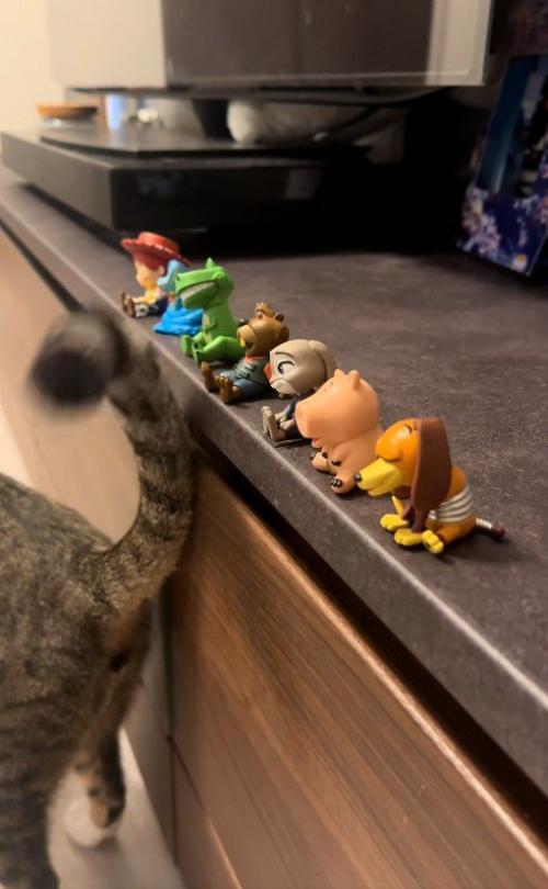 しっぽでフィギュアを触っている猫