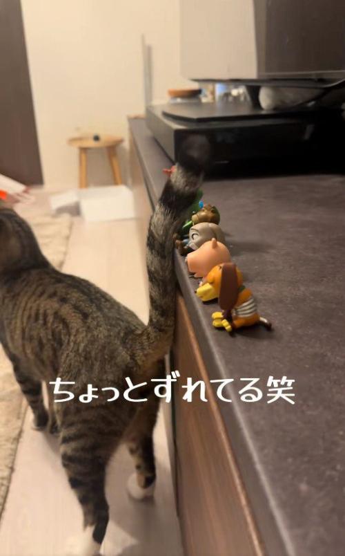 しっぽでフィギュアを触っている猫