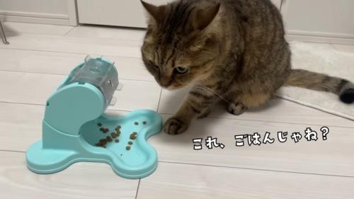 これ、ごはんじゃね？