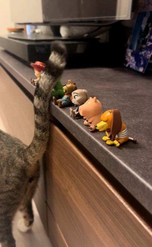 しっぽでフィギュアを触っている猫