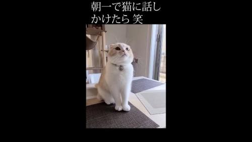 見上げた姿
