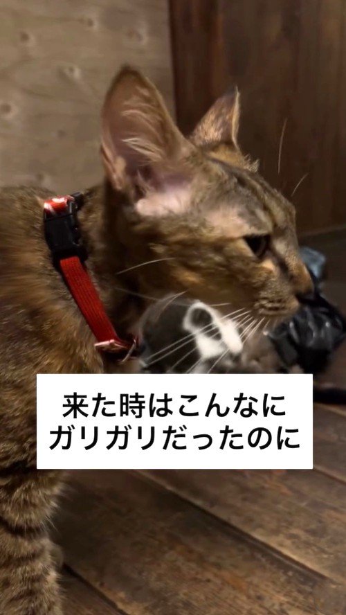 保護当時の専務ママ