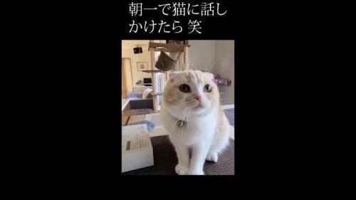 見上げた姿のアップ