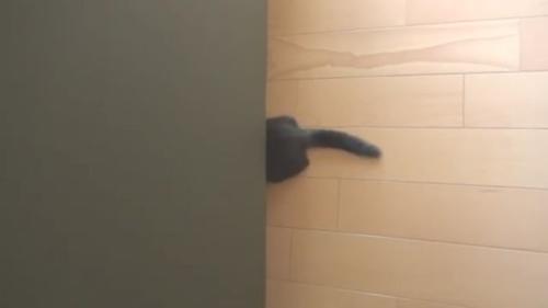 ソファからみえるおしり