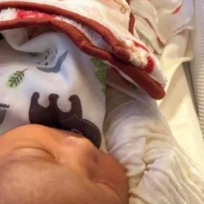 ベッドで横になる『生まれたばかりの赤ちゃん』→2匹の猫が近づいてくると…尊すぎる光景に5万いいね「幸せな気持ちになった」「優しい世界」