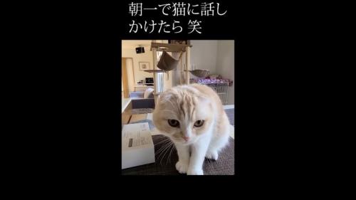 接近