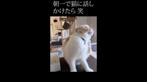 左をカキカキ