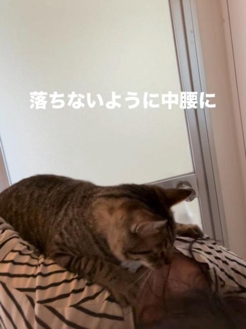 中腰の人の背中に乗る猫