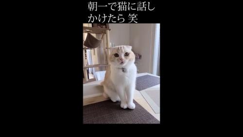 正面を向いて鳴く姿